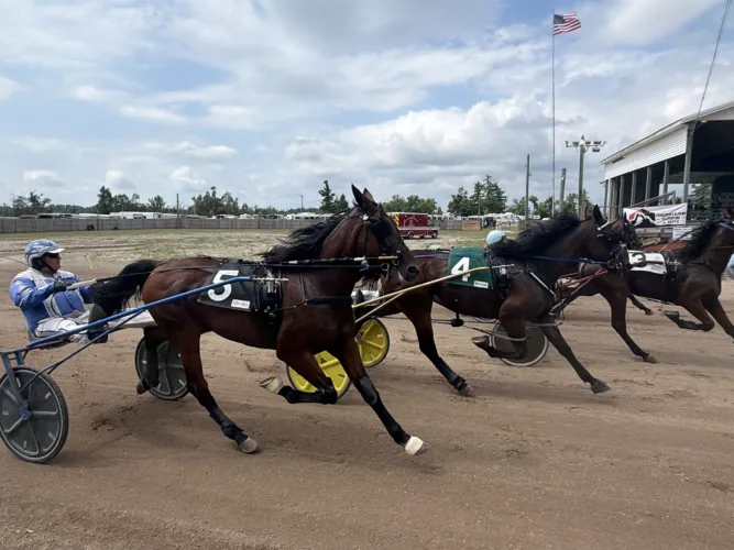 Harness racing brought back to Alpena